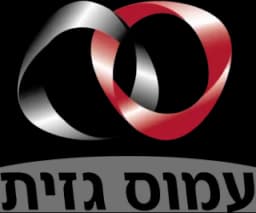 גזית